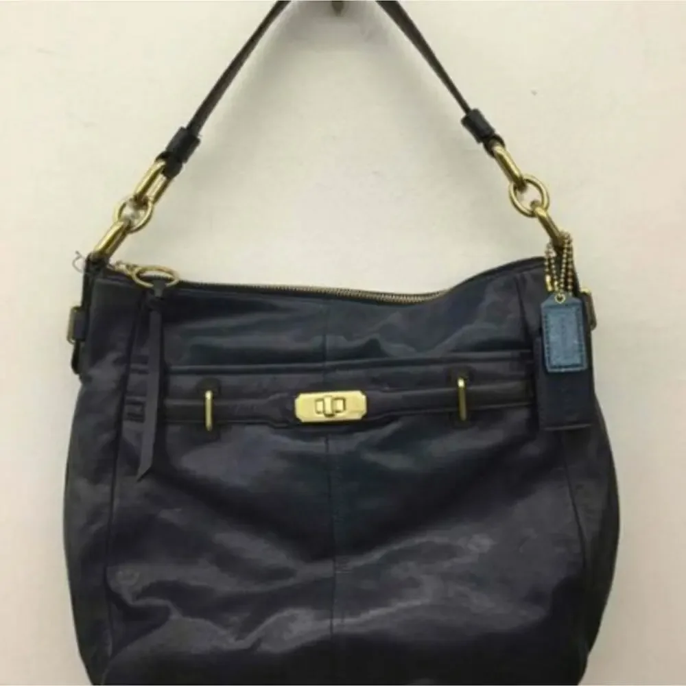 COACH ASHLYN CHELSEA LEATHER BAG